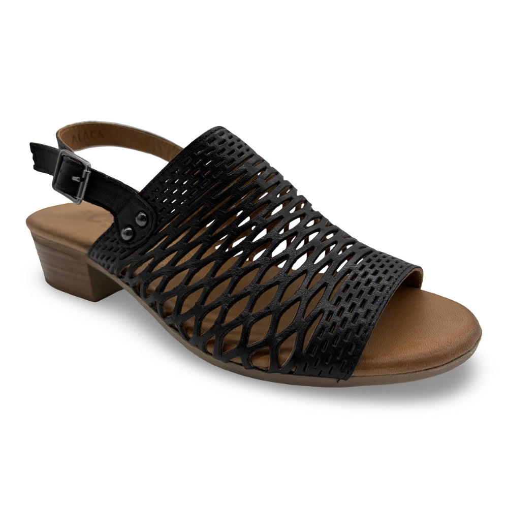 Cabello Women's Alaca Black